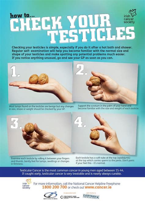 when should testicles descend